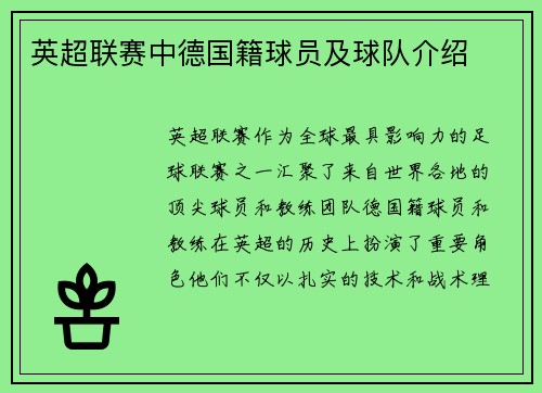 英超联赛中德国籍球员及球队介绍